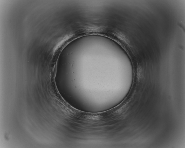 X0000099931309200806061444