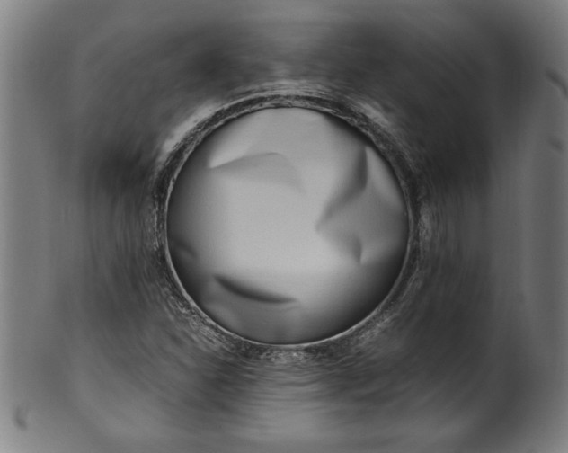 X0000099931310200806061444