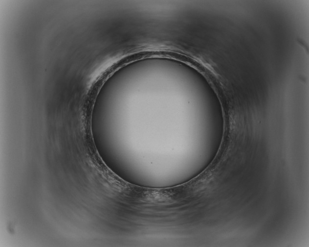 X0000099931311200806061444