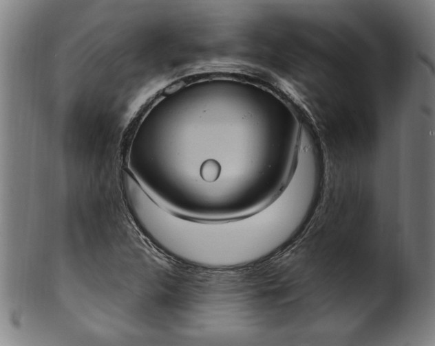 X0000099931312200806061444