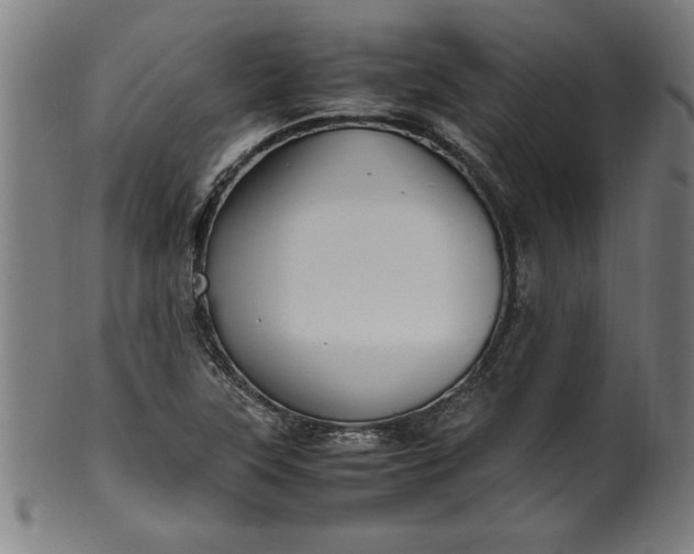 X0000099931315200806061444