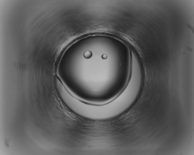 X0000099931316200806061444