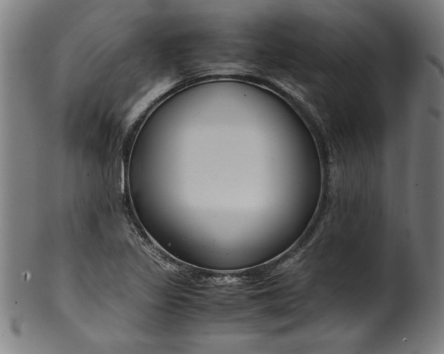 X0000099931317200806061444