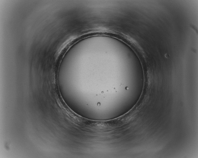 X0000099931318200806061444