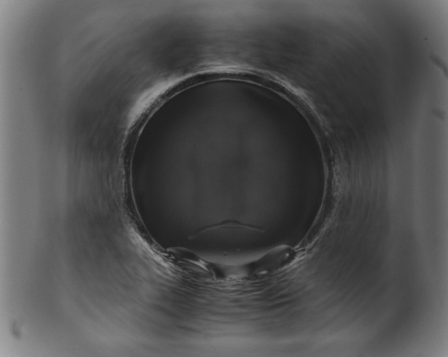 X0000099931319200806061444