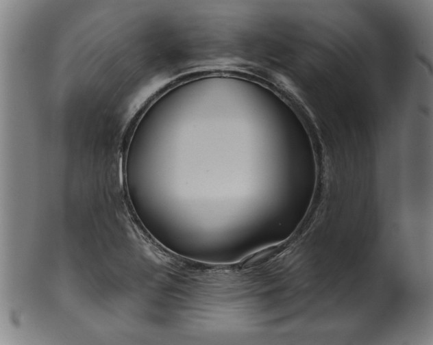 X0000099931320200806061444