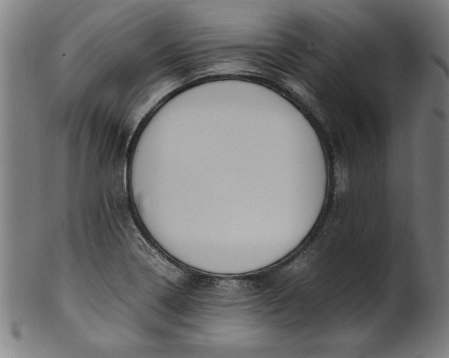 X0000099931322200806061445