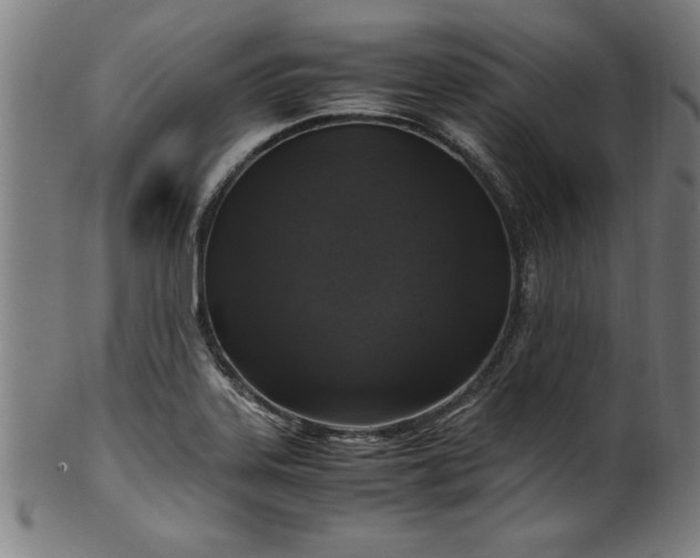 X0000099931323200806061445