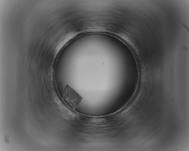 X0000099931325200806061445