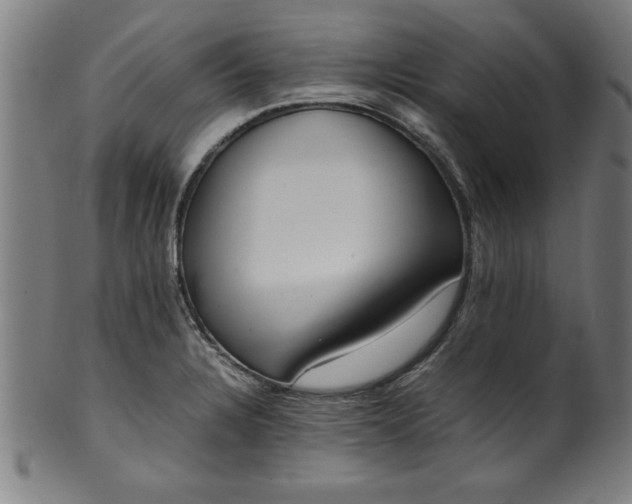 X0000099931328200806061445