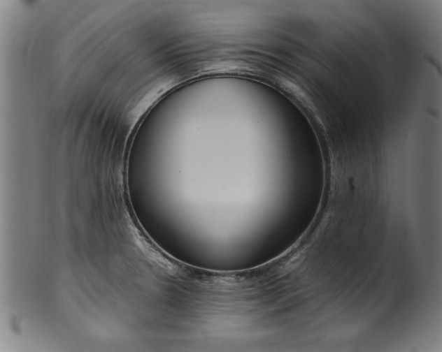 X0000099931330200806061445