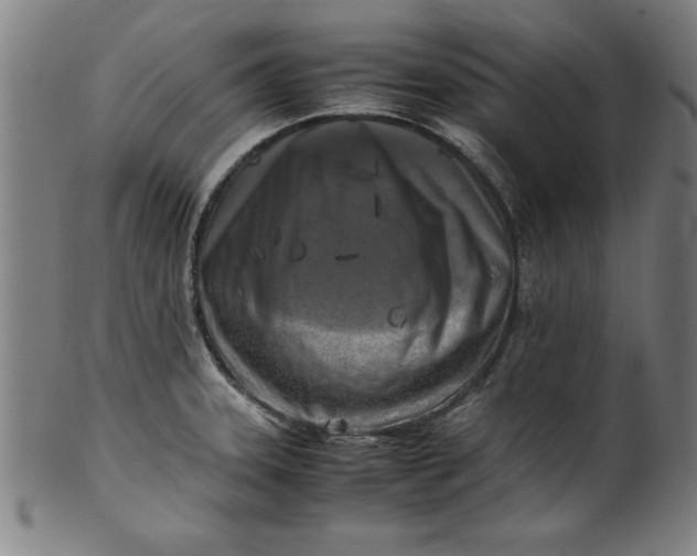 X0000099931331200806061445