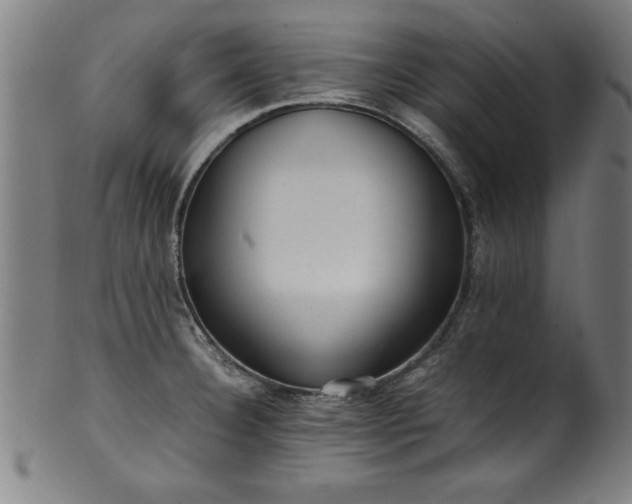 X0000099931332200806061445