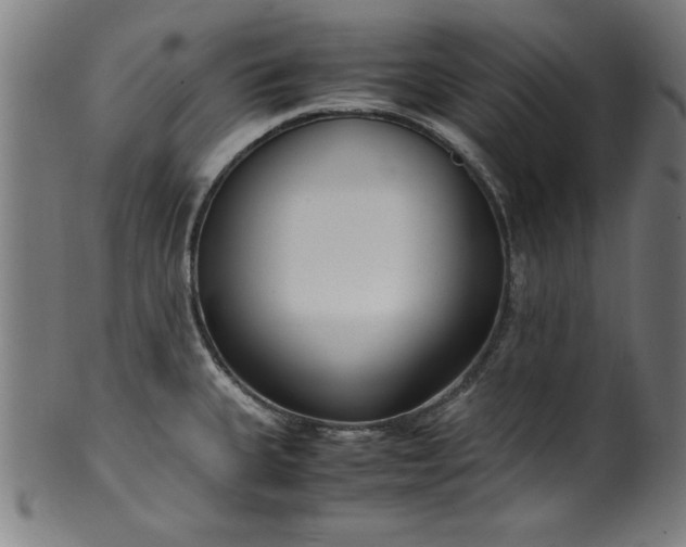 X0000099931335200806061445