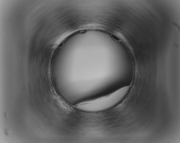 X0000099931336200806061445