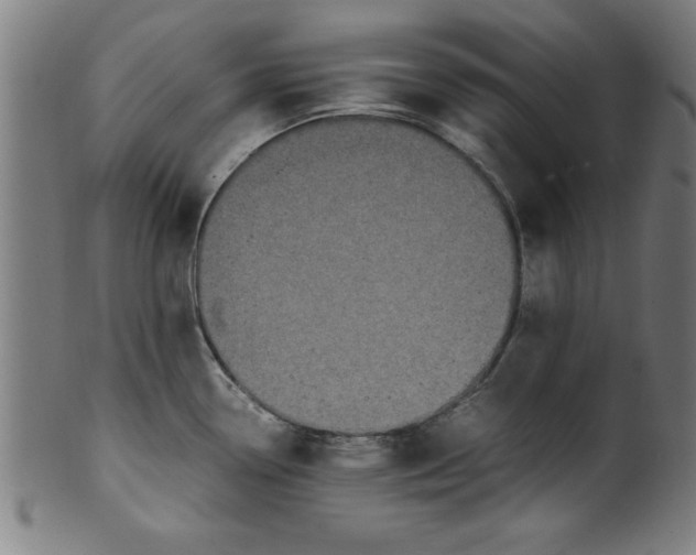 X0000099931338200806061445