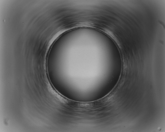 X0000099931339200806061445