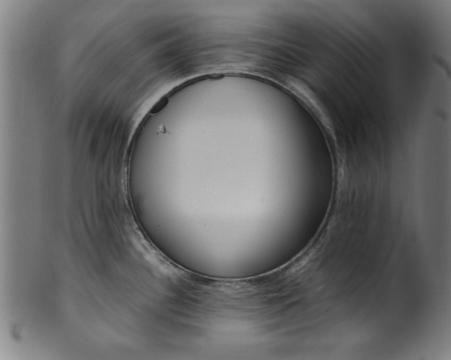 X0000099931340200806061445