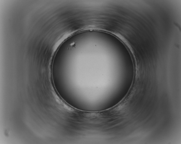 X0000099931341200806061445