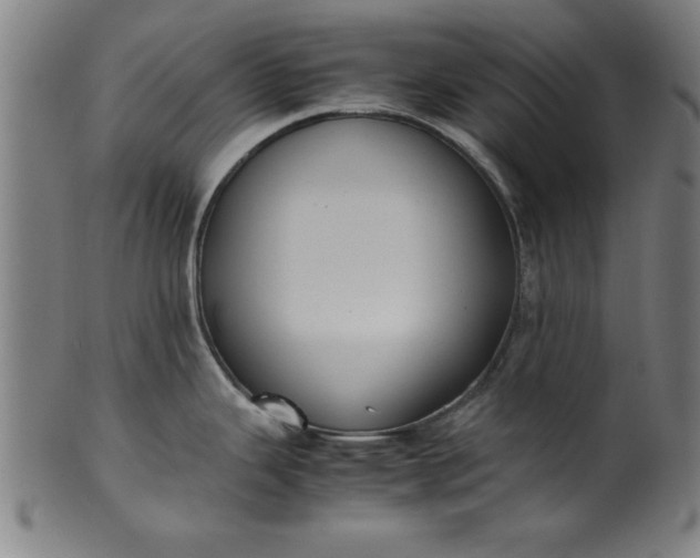 X0000099931343200806061445