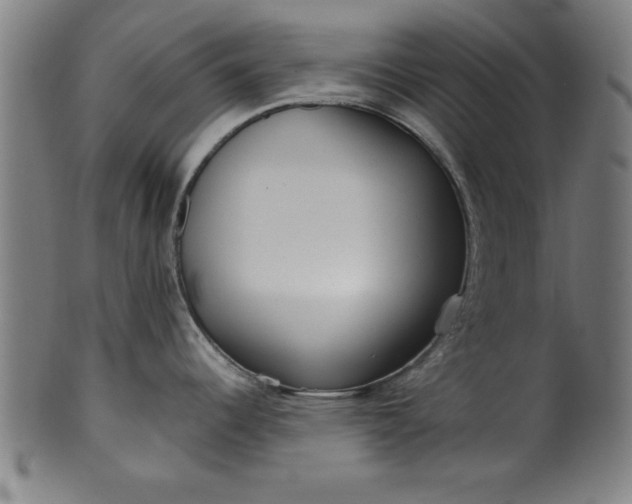 X0000099931344200806061445