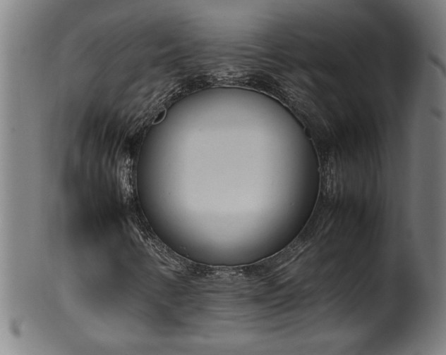 X0000099931346200806061444