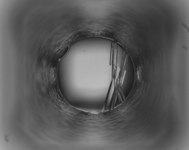 X0000099931347200806061444