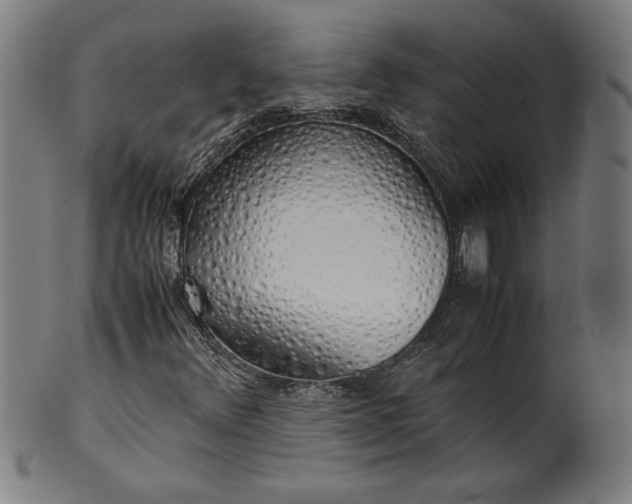 X0000099931348200806061444