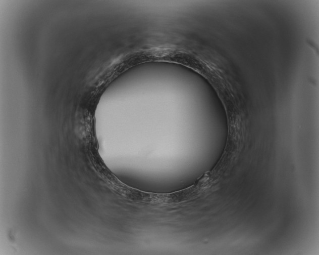 X0000099931349200806061444