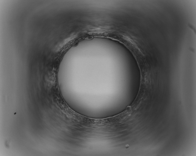 X0000099931350200806061444