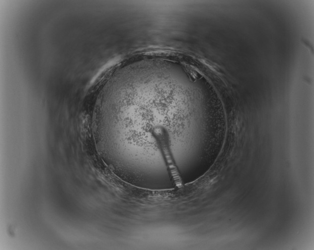 X0000099931351200806061444