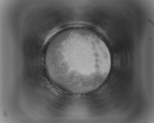 X0000099931352200806061444