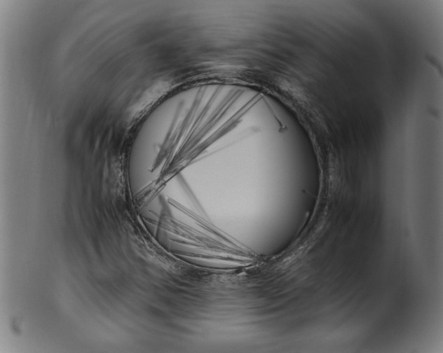 X0000099931354200806061444