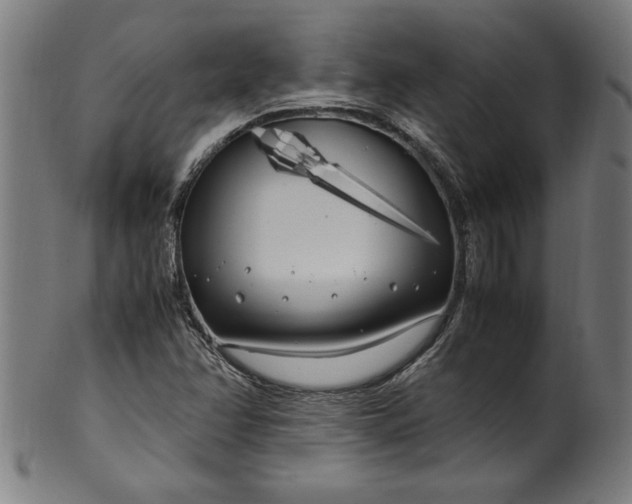 X0000099931358200806061444