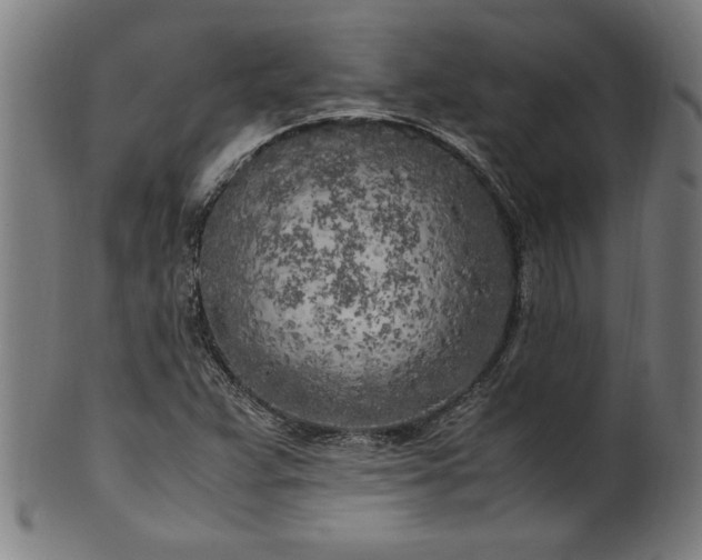 X0000099931359200806061444