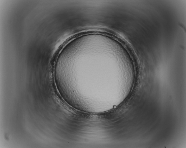 X0000099931360200806061444