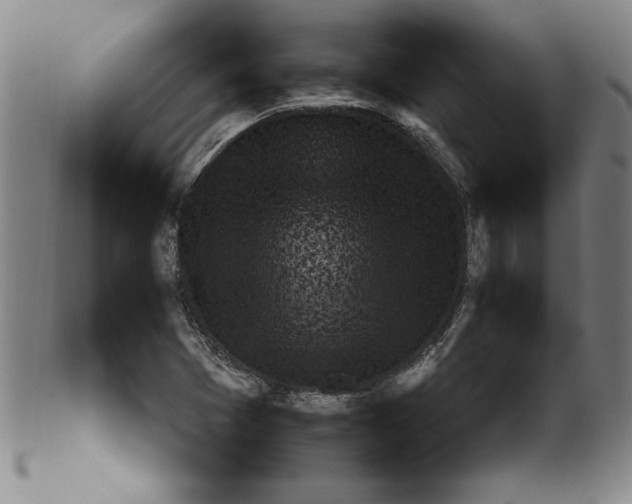 X0000099931361200806061444