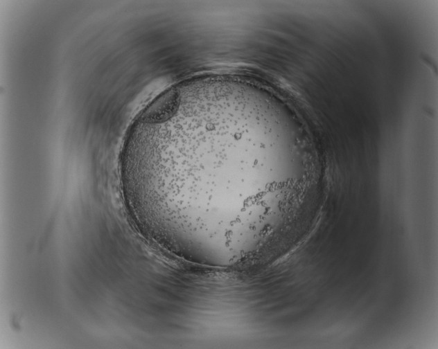 X0000099931362200806061444