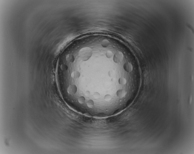 X0000099931363200806061444