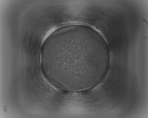 X0000099931365200806061444