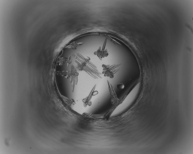 X0000099931367200806061444