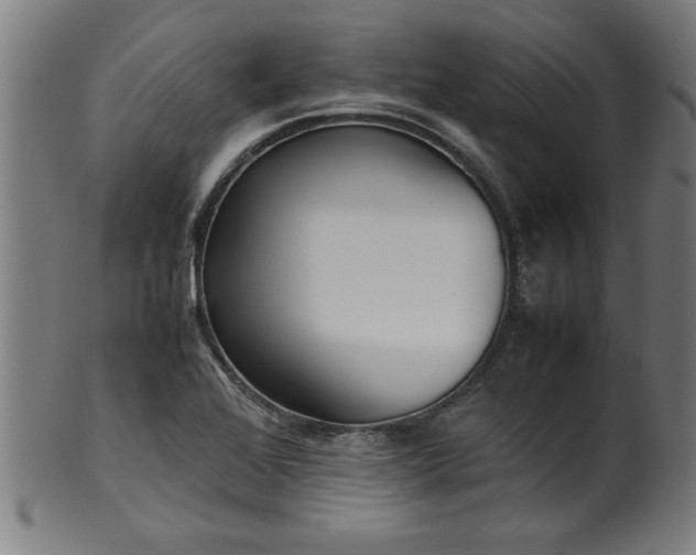 X0000099931368200806061444