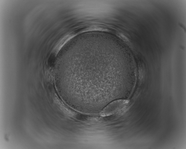 X0000099931369200806061444