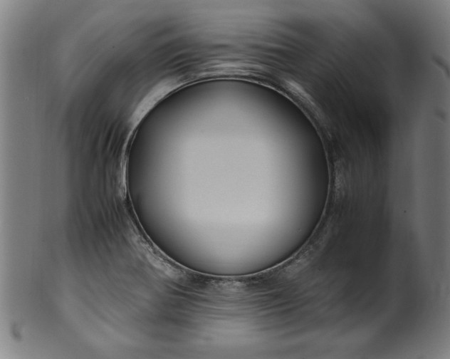 X0000099931370200806061444