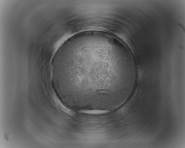 X0000099931371200806061444