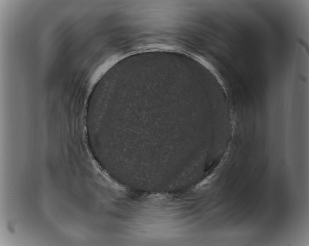 X0000099931373200806061444