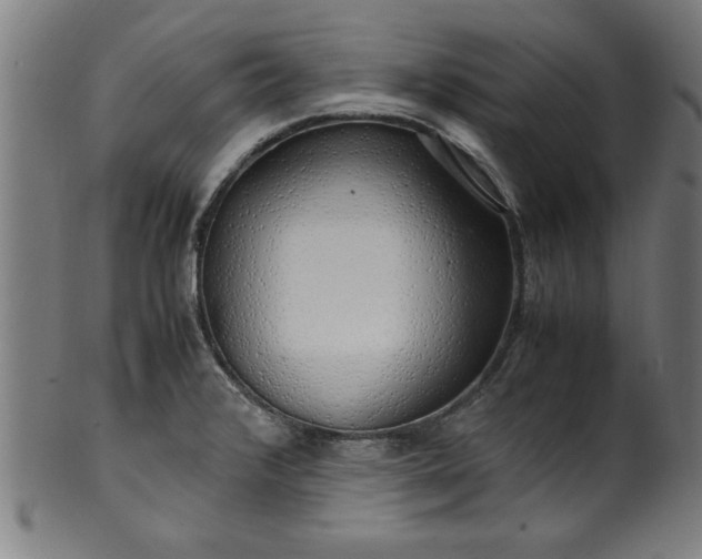 X0000099931376200806061443