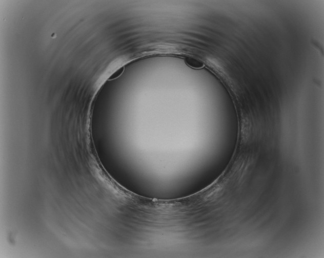 X0000099931378200806061443