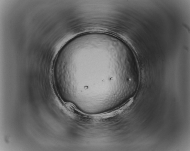 X0000099931379200806061443