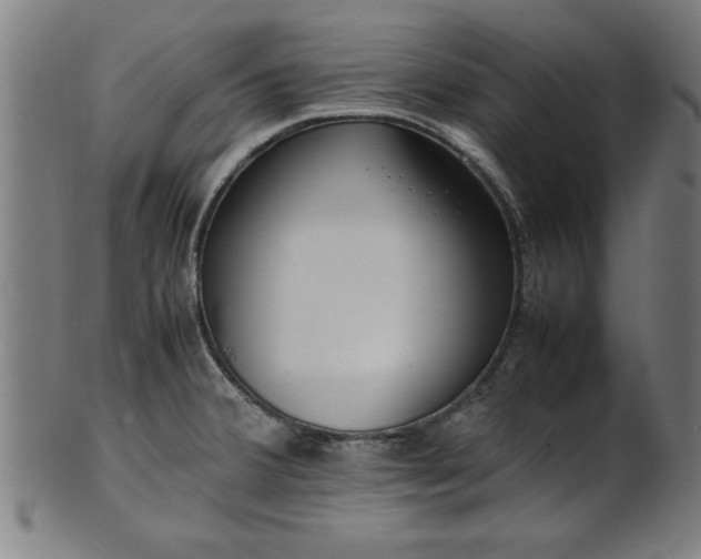 X0000099931380200806061443